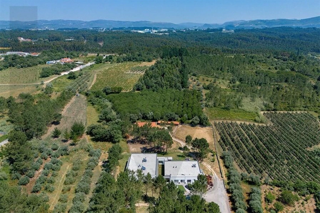 Quinta T5 para Venda em Calvaria de Cima Foto 47