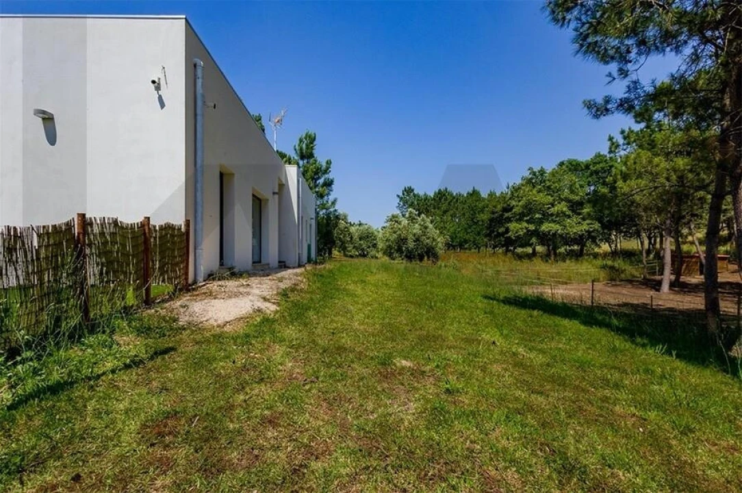 Quinta T5 para Venda em Calvaria de Cima Foto 38