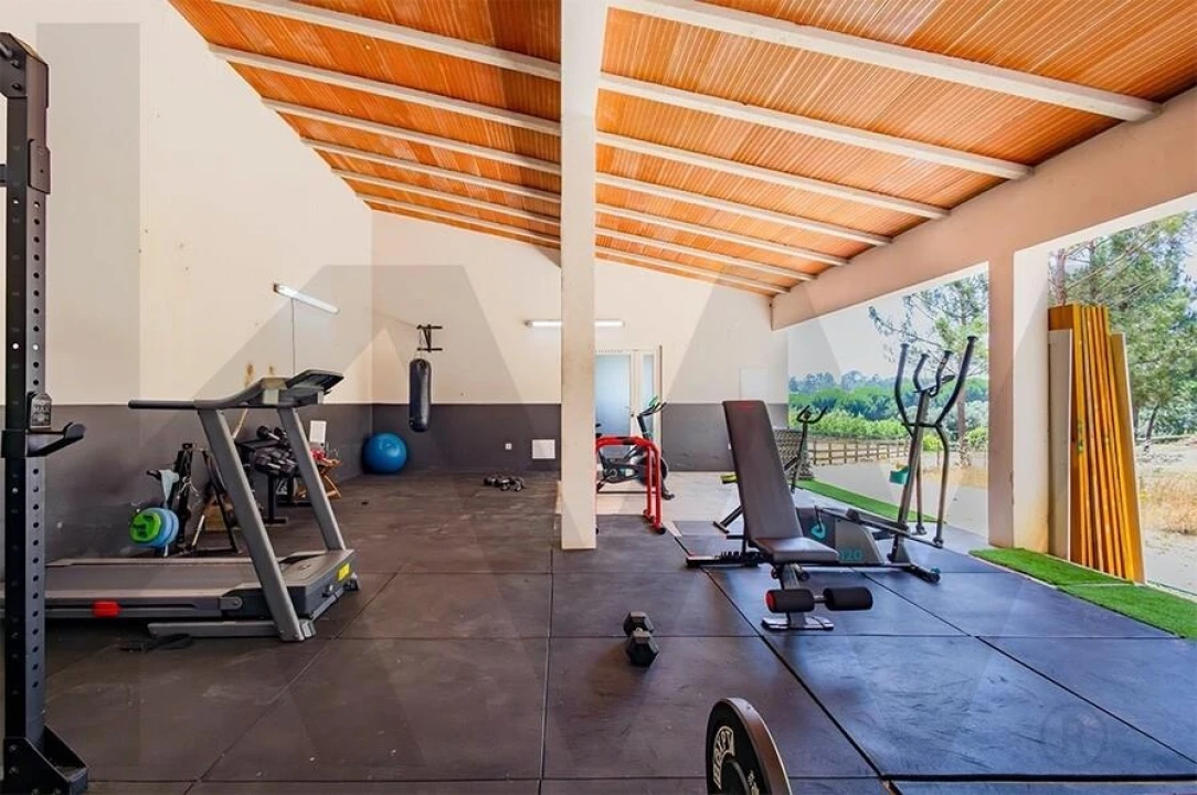 Quinta T5 para Venda em Calvaria de Cima Foto 33