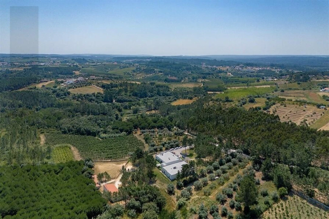 Quinta T5 para Venda em Calvaria de Cima Foto 4