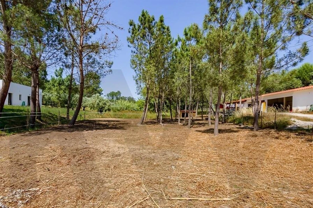 Quinta T5 para Venda em Calvaria de Cima Foto 35