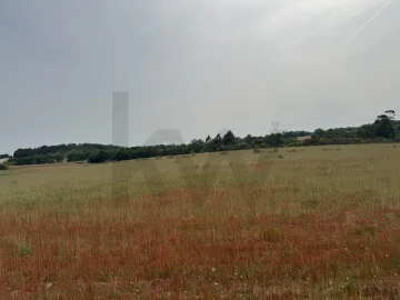 Quinta T3 para Venda em Alcains