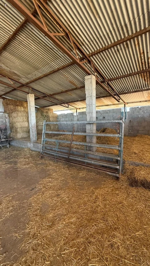 Quinta T3 para Venda em Alcains