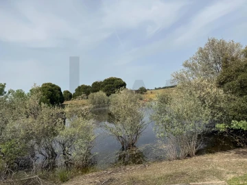 Quinta T3 para Venda em Alcains