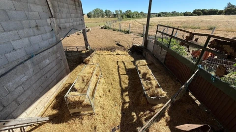 Quinta T3 para Venda em Alcains