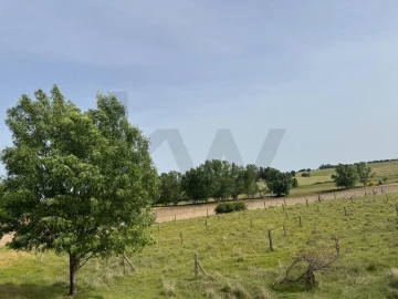 Quinta T3 para Venda em Alcains