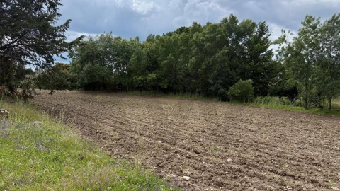 Quinta T3 para Venda em Alcains