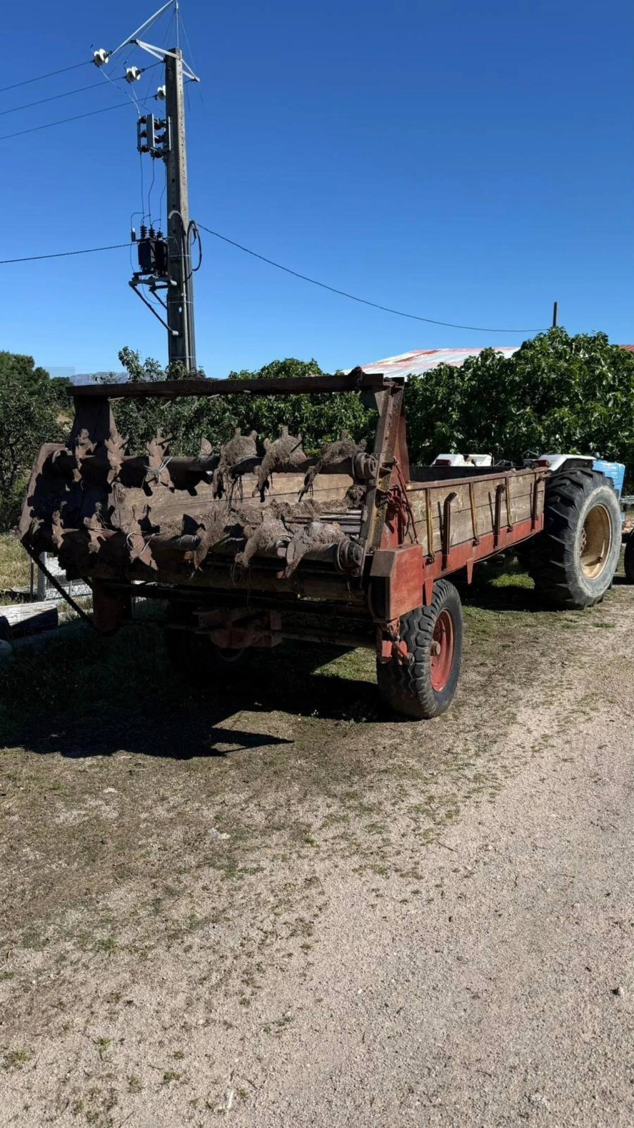 Quinta T3 para Venda em Alcains Foto 18