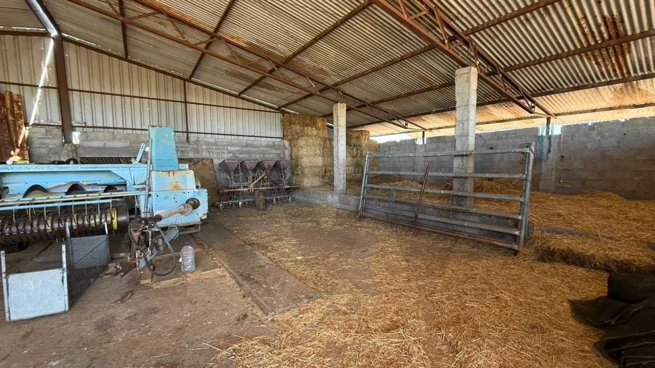 Quinta T3 para Venda em Alcains Foto 39
