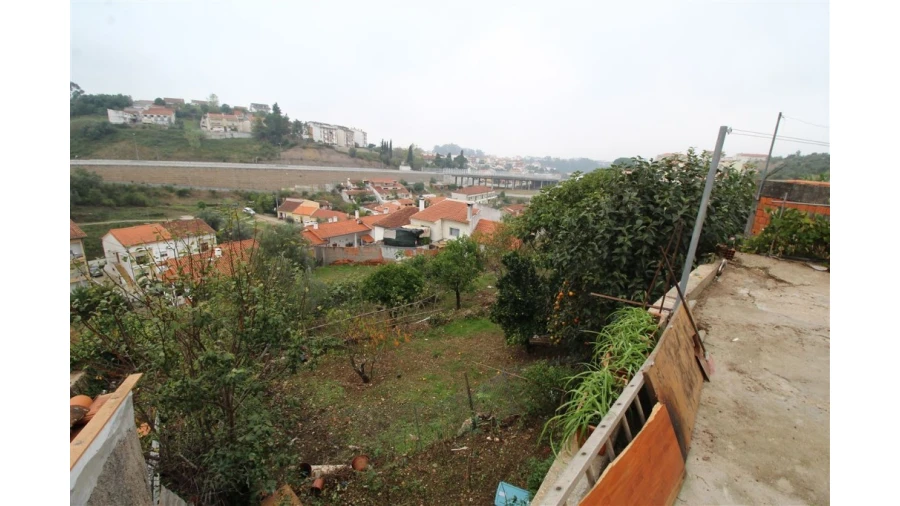 Terreno para Venda em Eiras e São Paulo de Frades Foto 2