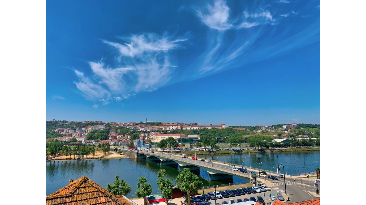Terreno para Venda em Eiras e São Paulo de Frades Foto 6
