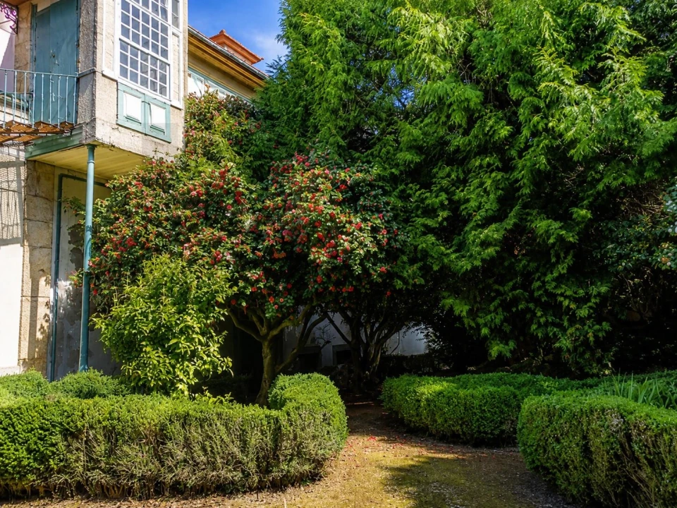 Quinta T29 para Venda em Cepões, Meijinhos e Melcões Foto 28