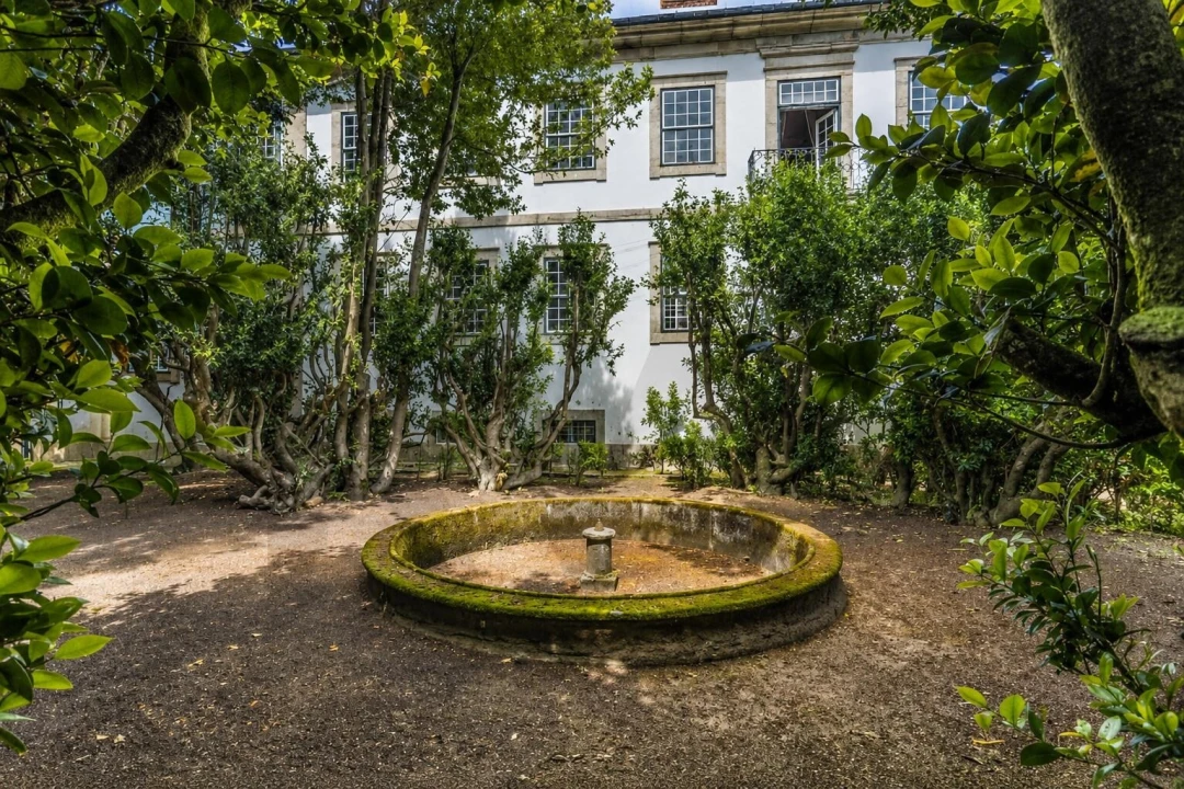 Quinta T29 para Venda em Cepões, Meijinhos e Melcões Foto 4