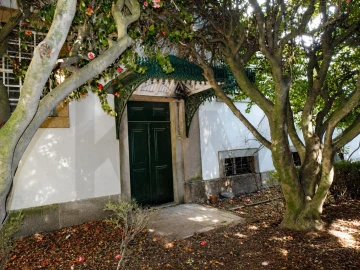 Quinta T29 para Venda em Cepões, Meijinhos e Melcões