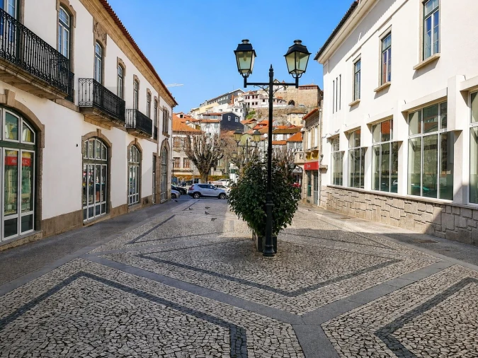 Quinta T29 para Venda em Cepões, Meijinhos e Melcões Foto 34
