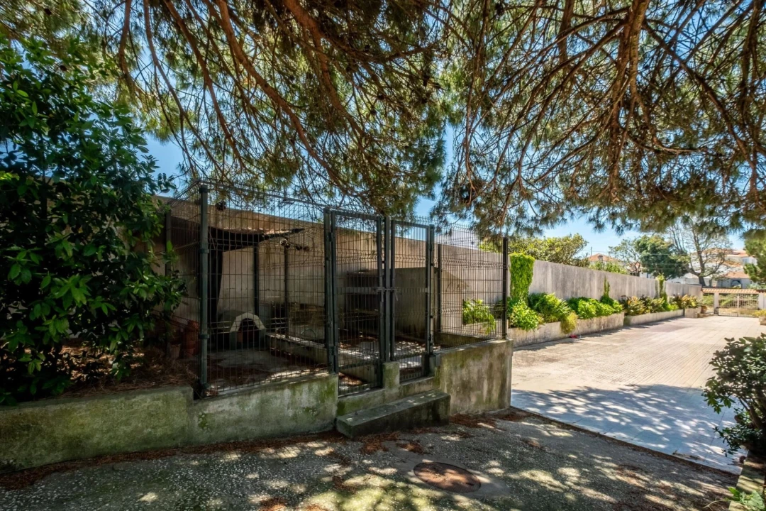 Moradia T3 para Venda em Mafra Foto 52