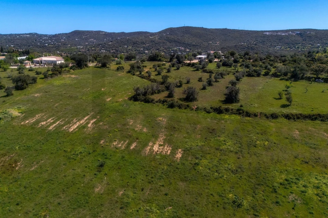 Terreno para Venda em Loule (São Clemente) Foto 14