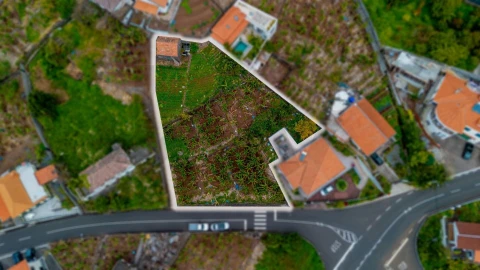 Terreno para Venda em Arco da Calheta