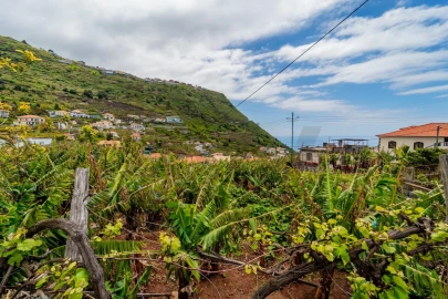 Terreno para Venda em Arco da Calheta