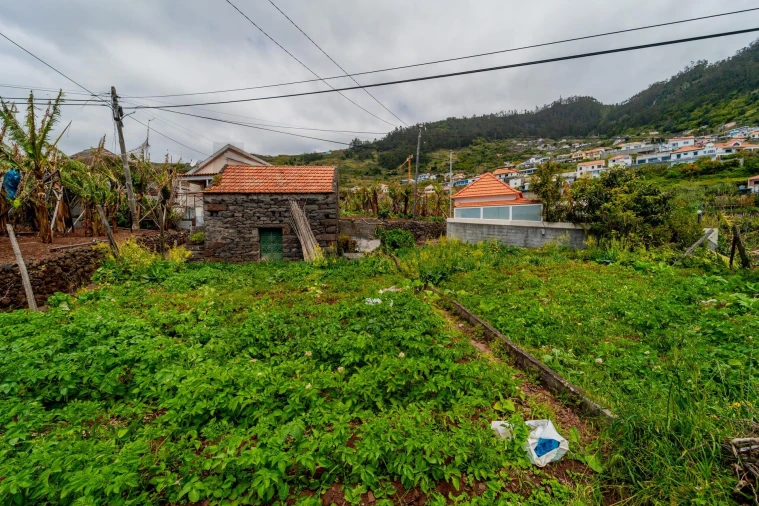 Terreno para Venda em Arco da Calheta Foto 7