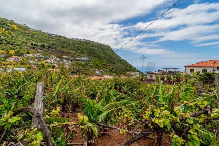 Terreno para Venda em Arco da Calheta Foto 8