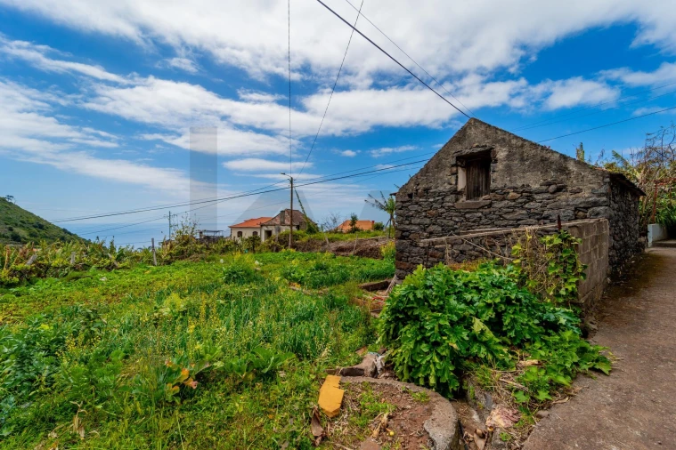 Terreno para Venda em Arco da Calheta Foto 9