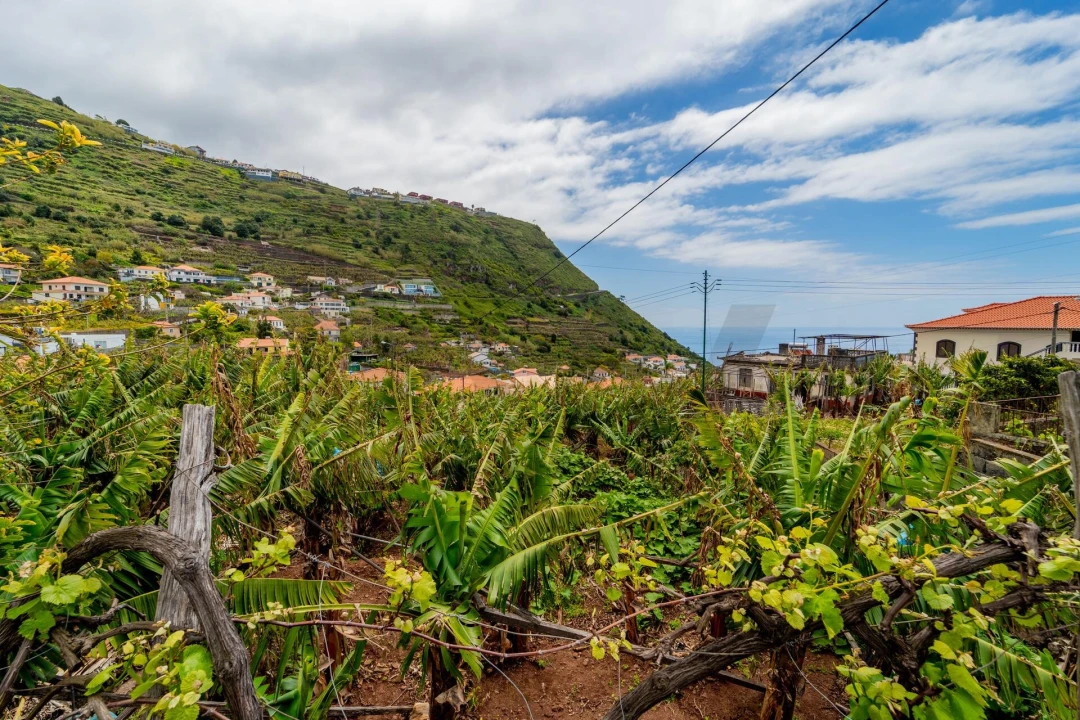 Terreno para Venda em Arco da Calheta Foto 8