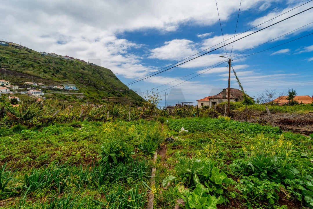 Terreno para Venda em Arco da Calheta Foto 6
