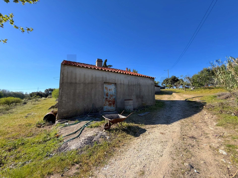 Quinta T3 para Venda em Vale de Prazeres e Mata da Rainha Foto 30