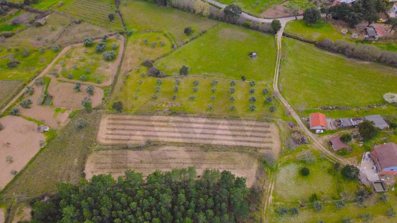 Quinta T3 para Venda em Vale de Prazeres e Mata da Rainha Foto 49