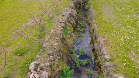 Quinta T3 para Venda em Vale de Prazeres e Mata da Rainha