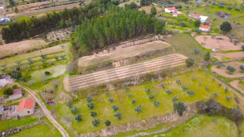 Quinta T3 para Venda em Vale de Prazeres e Mata da Rainha