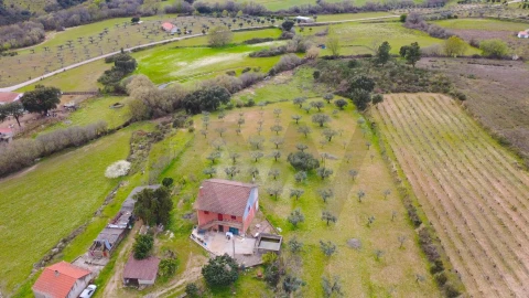 Quinta T3 para Venda em Vale de Prazeres e Mata da Rainha