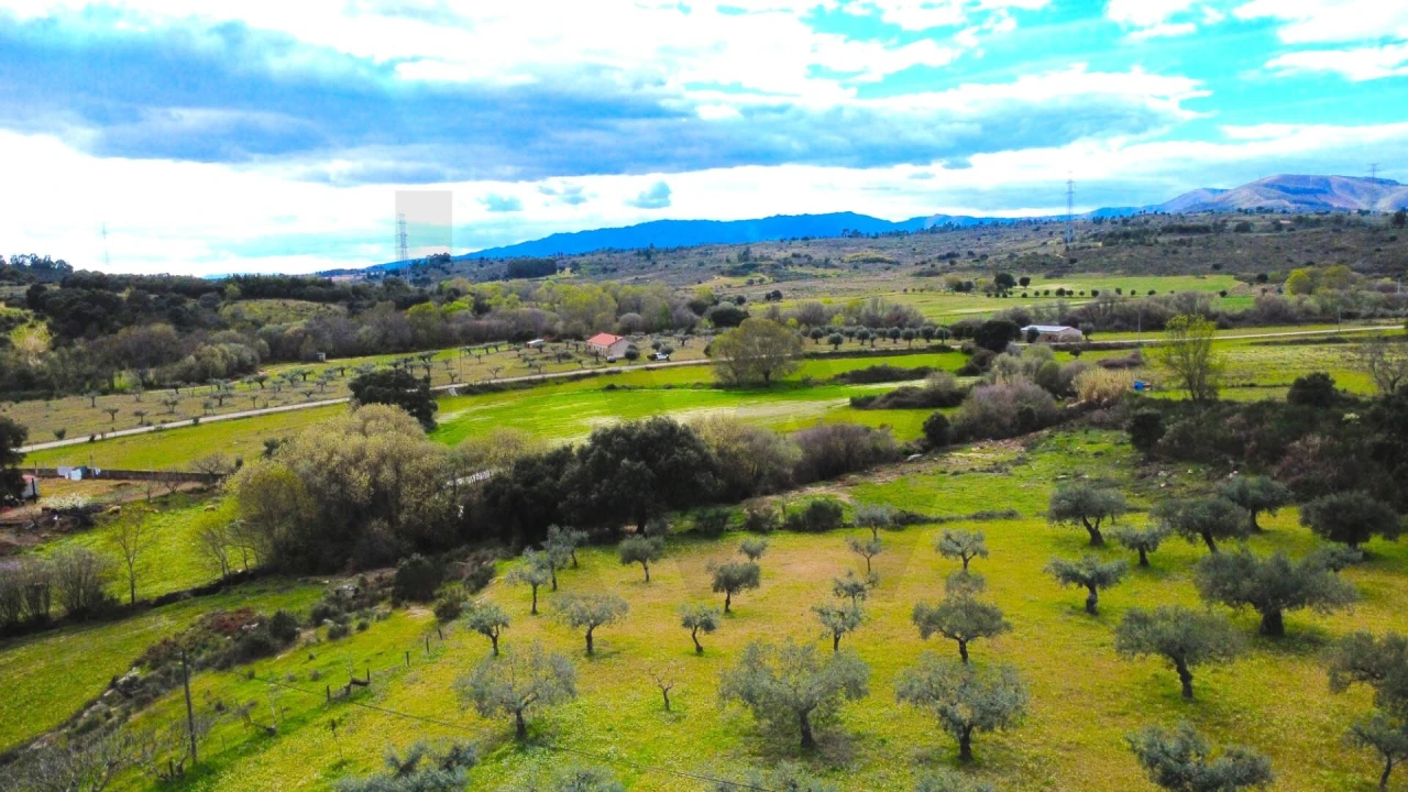 Quinta T3 para Venda em Vale de Prazeres e Mata da Rainha Foto 45