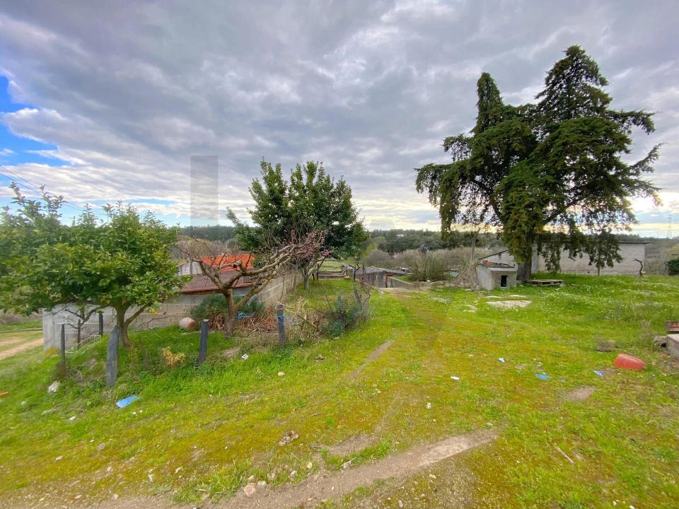 Quinta T3 para Venda em Vale de Prazeres e Mata da Rainha Foto 37