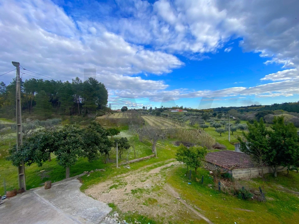 Quinta T3 para Venda em Vale de Prazeres e Mata da Rainha Foto 29