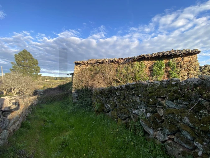 Quinta T3 para Venda em Vale de Prazeres e Mata da Rainha Foto 57