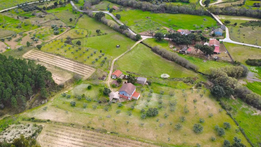 Quinta T3 para Venda em Vale de Prazeres e Mata da Rainha Foto 44