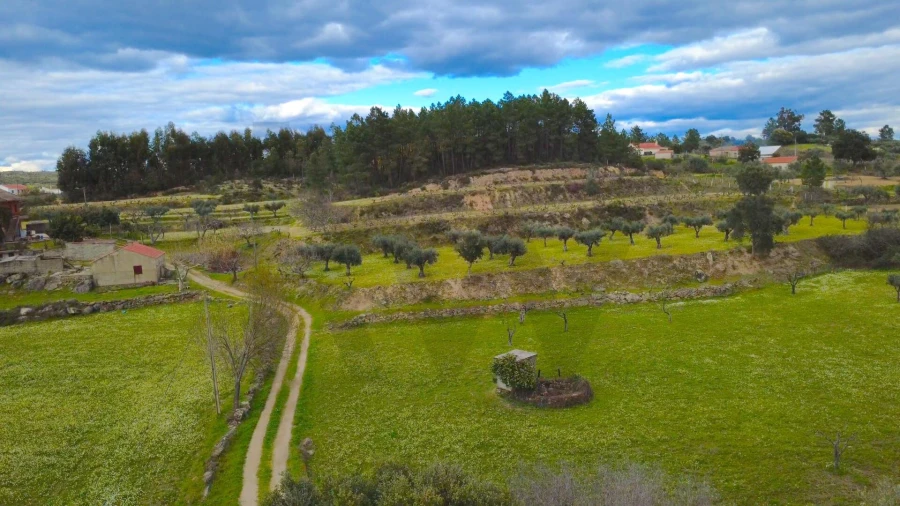 Quinta T3 para Venda em Vale de Prazeres e Mata da Rainha Foto 48
