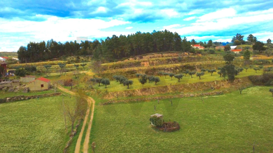 Quinta T3 para Venda em Vale de Prazeres e Mata da Rainha Foto 43