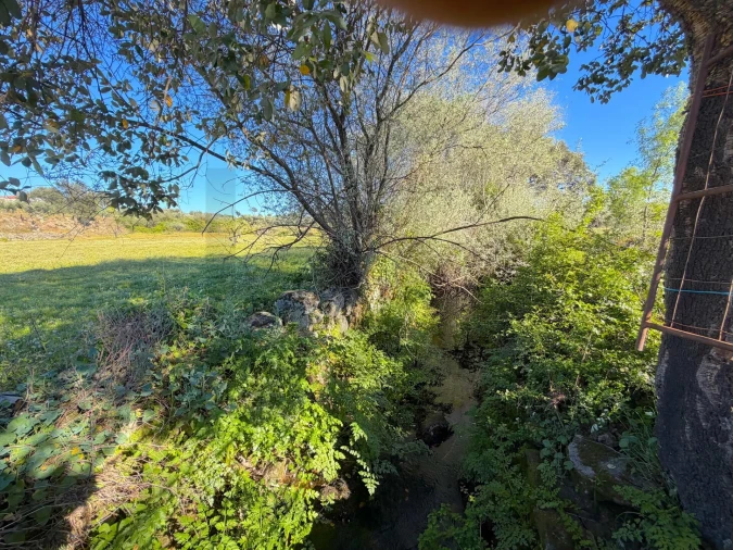 Quinta T3 para Venda em Vale de Prazeres e Mata da Rainha Foto 41