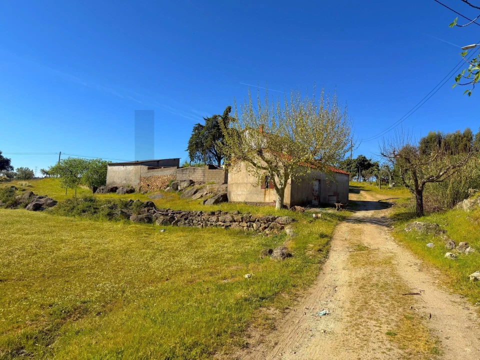 Quinta T3 para Venda em Vale de Prazeres e Mata da Rainha Foto 40
