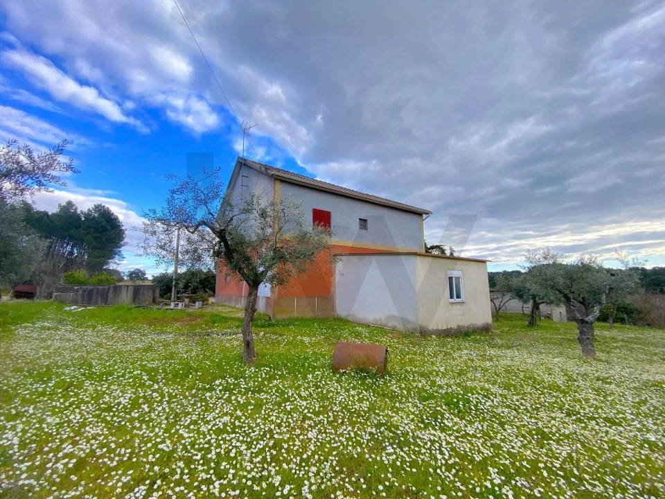Quinta T3 para Venda em Vale de Prazeres e Mata da Rainha Foto 8