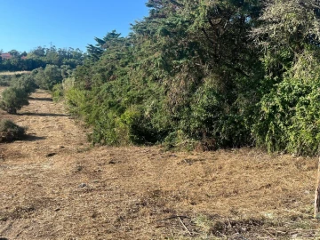 Terreno para Venda em São João das Lampas e Terrugem
