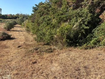 Terreno para Venda em São João das Lampas e Terrugem