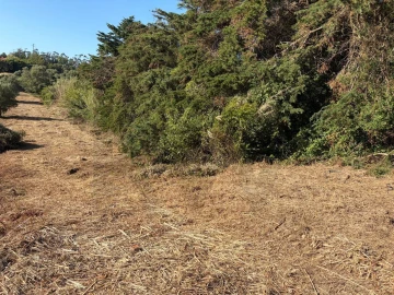 Terreno para Venda em São João das Lampas e Terrugem