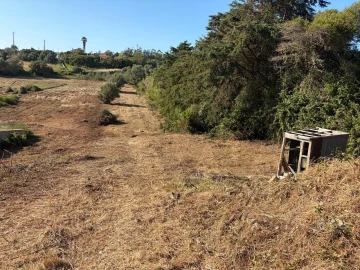 Terreno para Venda em São João das Lampas e Terrugem