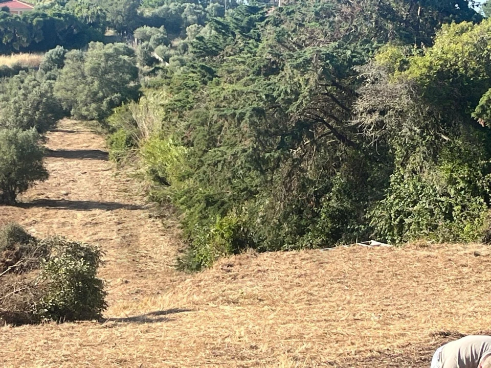 Terreno para Venda em São João das Lampas e Terrugem Foto 9