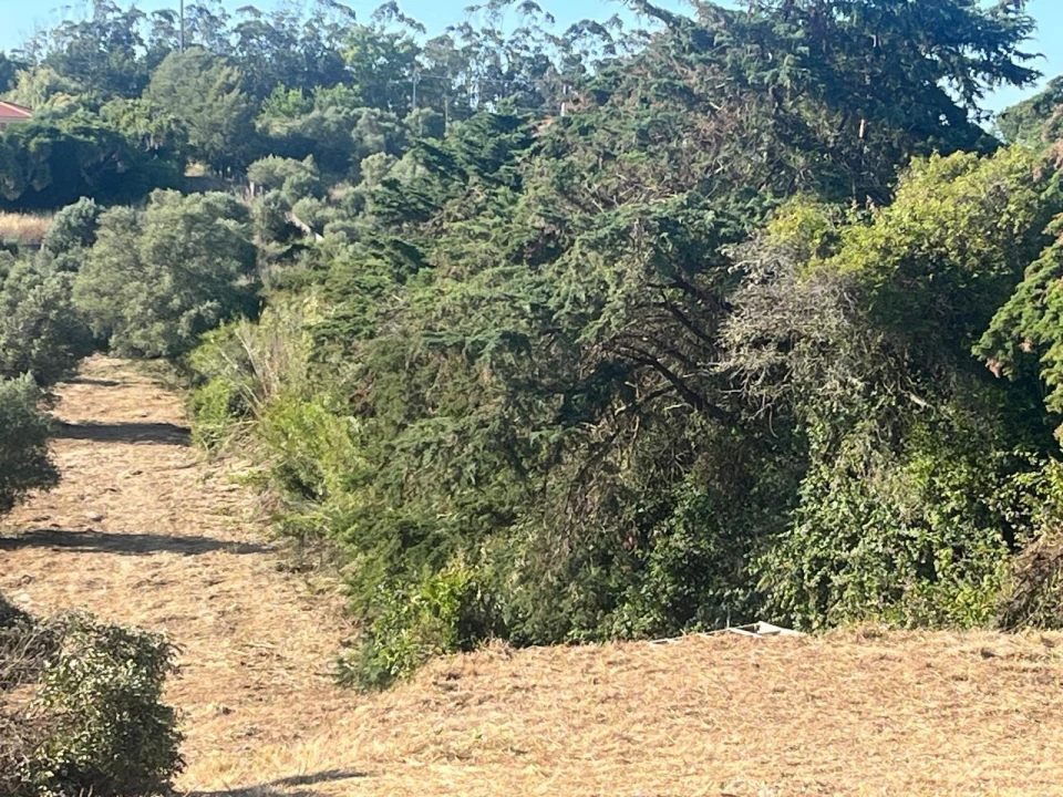 Terreno para Venda em São João das Lampas e Terrugem Foto 12