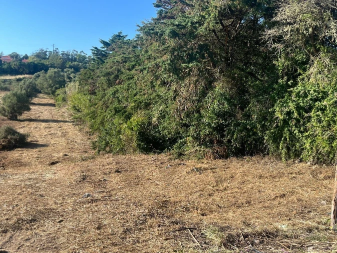 Terreno para Venda em São João das Lampas e Terrugem Foto 13